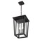 Z-Lite Seoul 2 Light Outdoor Chain Mount Ceiling Fixture, Black & Clear 571CHB-BK - alternate 2